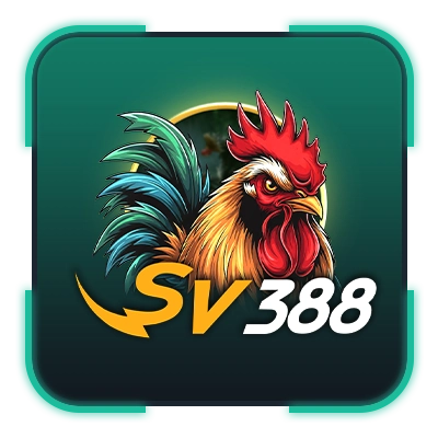 sabung ayam